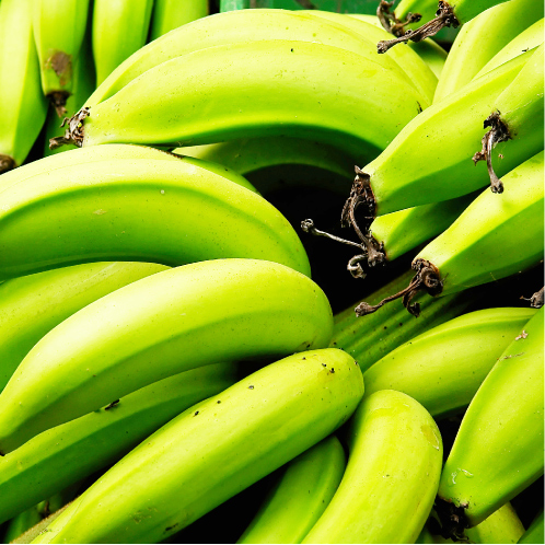 バナナ抽出物のイメージ図