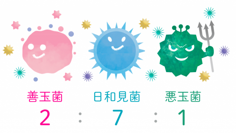 老けと病気が９割防げる 大人に 腸活 が必要な３つの理由 Vitabridc12 Beauty