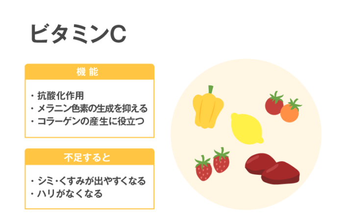 ビタミンの種類と働き一覧表～肌トラブル別に効くビタミンガイド～ | VitabridC12 beauty
