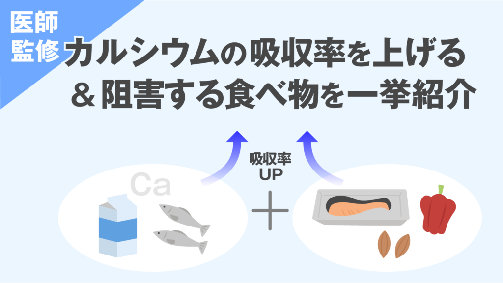エクストラカルシウム MDK 2 リーフレット