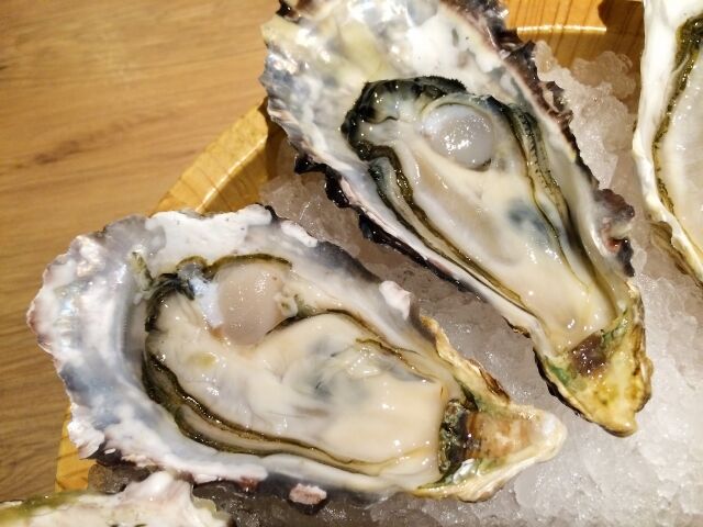 oyster