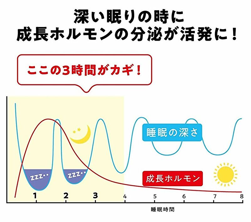 睡眠と成長ホルモン