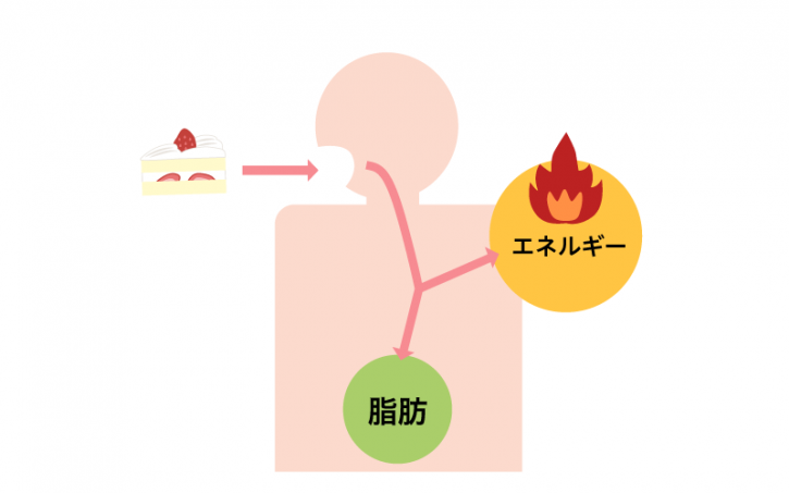 脂質太る仕組み: 脂質が脂肪になるメカニズム : 太る仕組み – HGSMQY