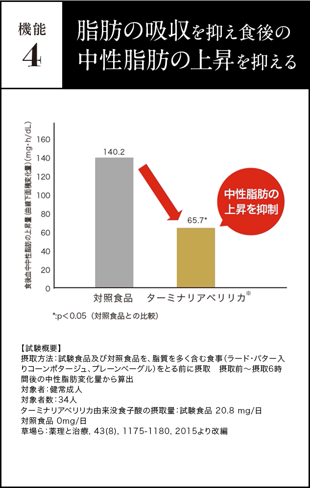 shibou_tf_graph1