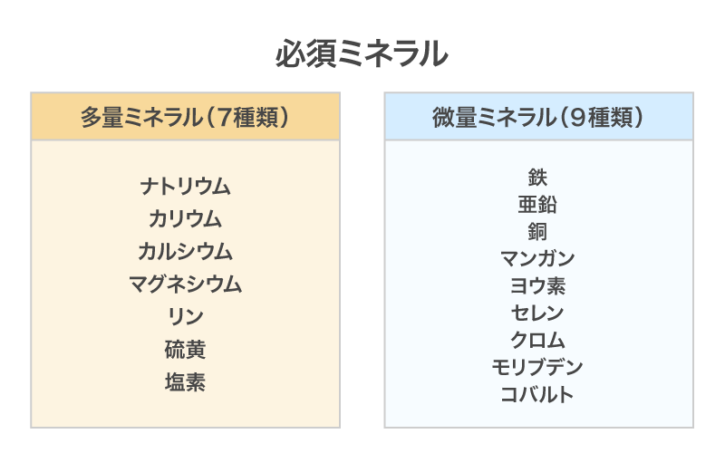 ミネラルが多い食べ物一覧〜不足しやすい栄養素&おすすめレシピ〜 | 美容と健康とビタミンC