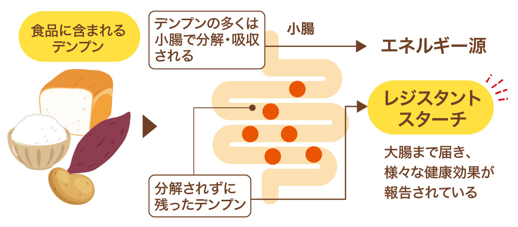 resistant-starch_structure