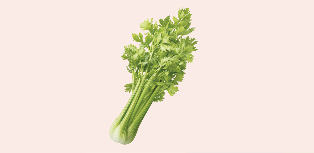 springvegetables-point-2