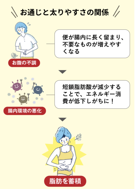 お通じと太りやすさ