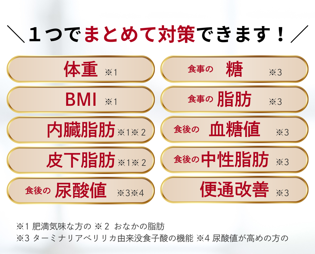matometaisaku_tf5_keizoku