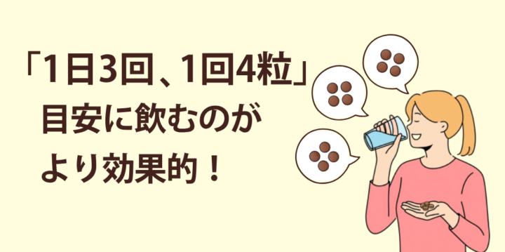 「1日3回、1回4粒」を目安