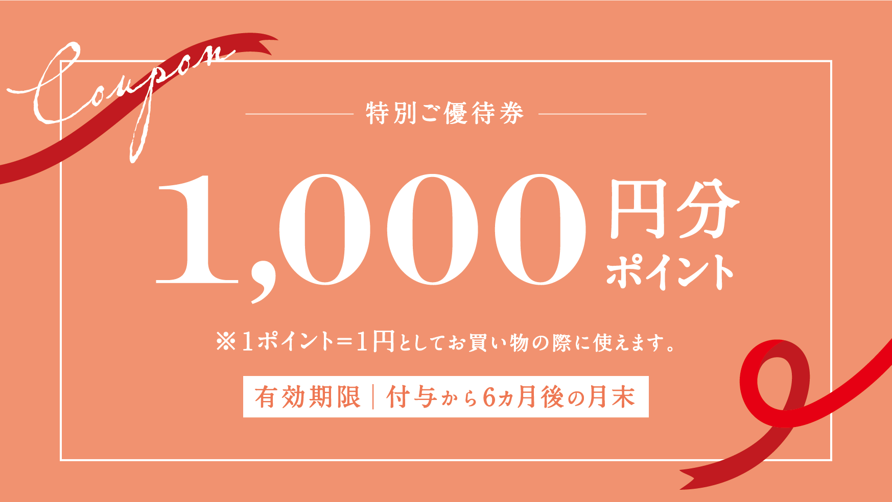 次回1,000円オフ！割引ポイントをぜひご活用ください | Vitabrid Japan