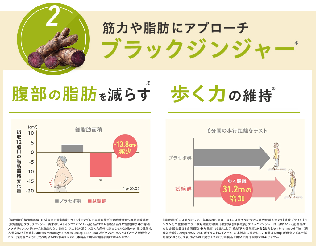 筋力や脂肪にアプローチブラックジンジャー