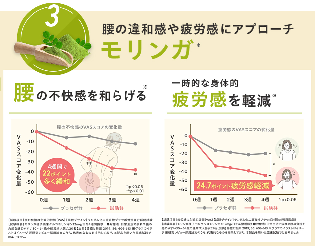 腰の違和感や疲労感にアプローチモリンガ