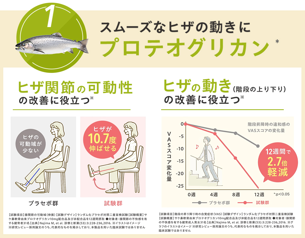 スムーズなヒザの動きに_プロテオグリカン