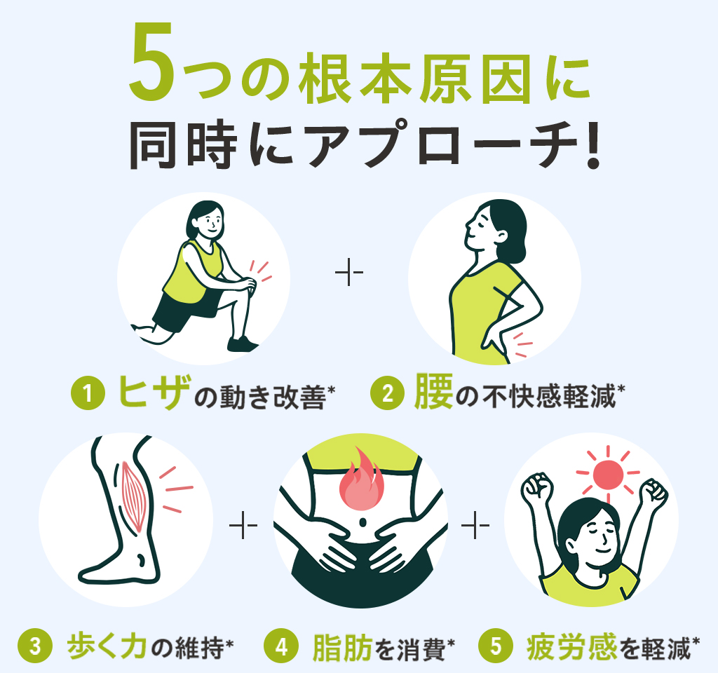５つの根本原因に同時にアプローチ