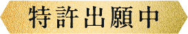 特許出願中