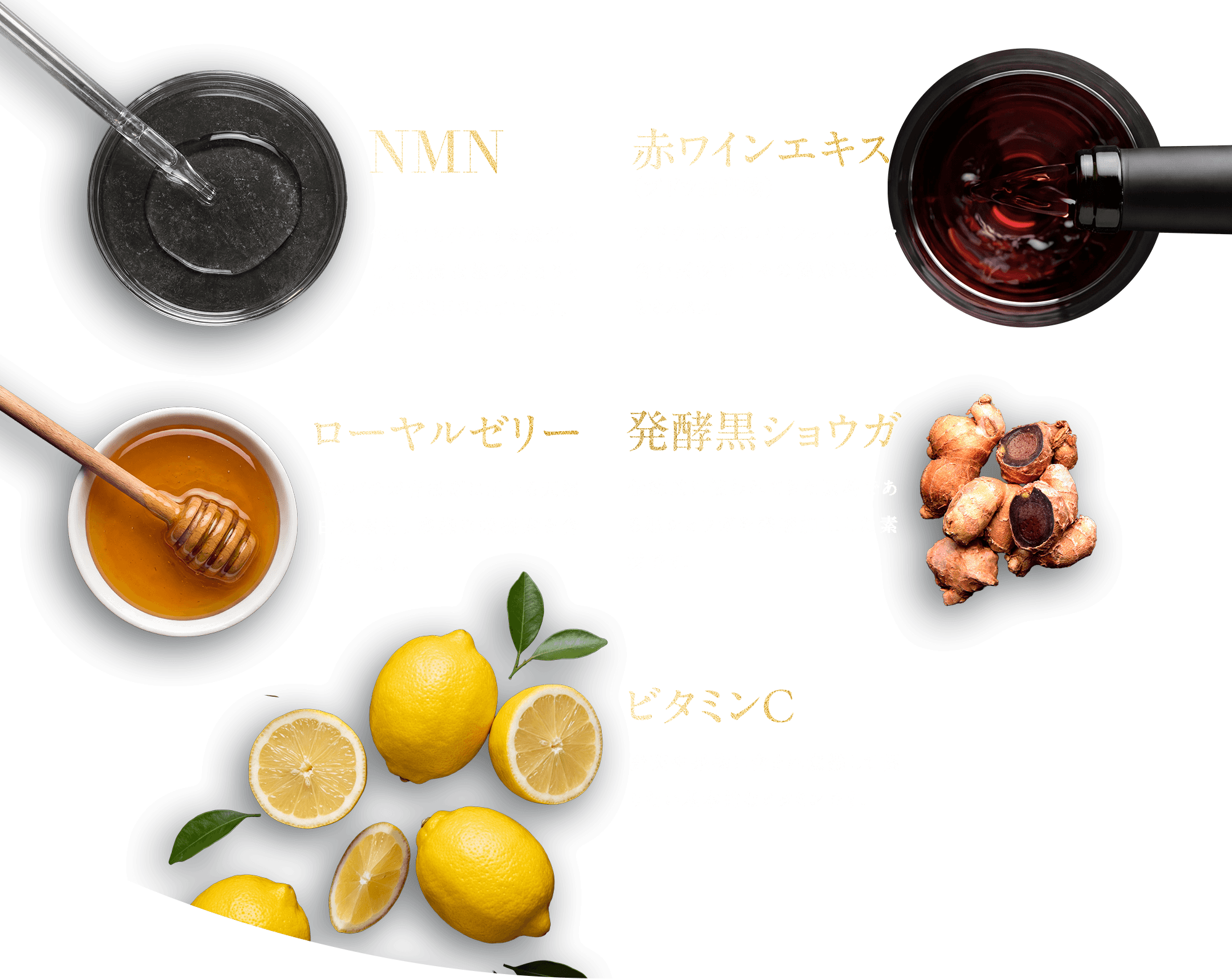 NMN、赤ワインエキス、ローヤルゼリー、発酵黒ショウガ、ビタミンCの説明