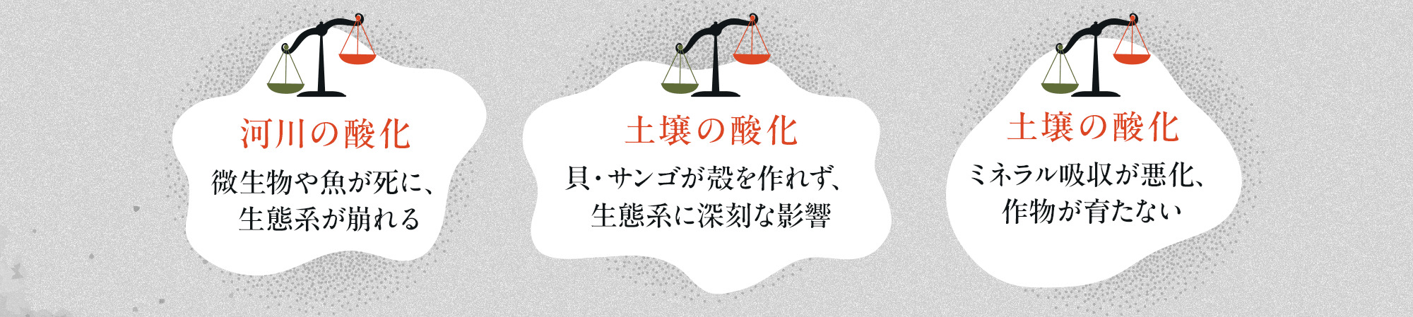 河川の酸化 微生物や魚が死に、生態系が崩れる。海洋の酸化 貝・サンゴが殻を作れず、生態系に深刻な影響。土壌の酸化 ミネラル吸収が悪化し、作物が育たない