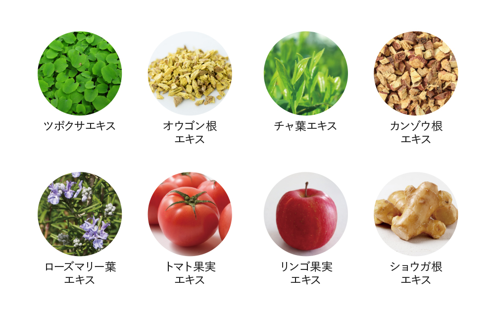 健やかな毛髪を保つための豊かな配合成分！イメージ画像