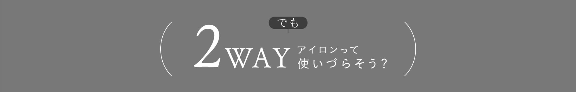 2WAYアイロン