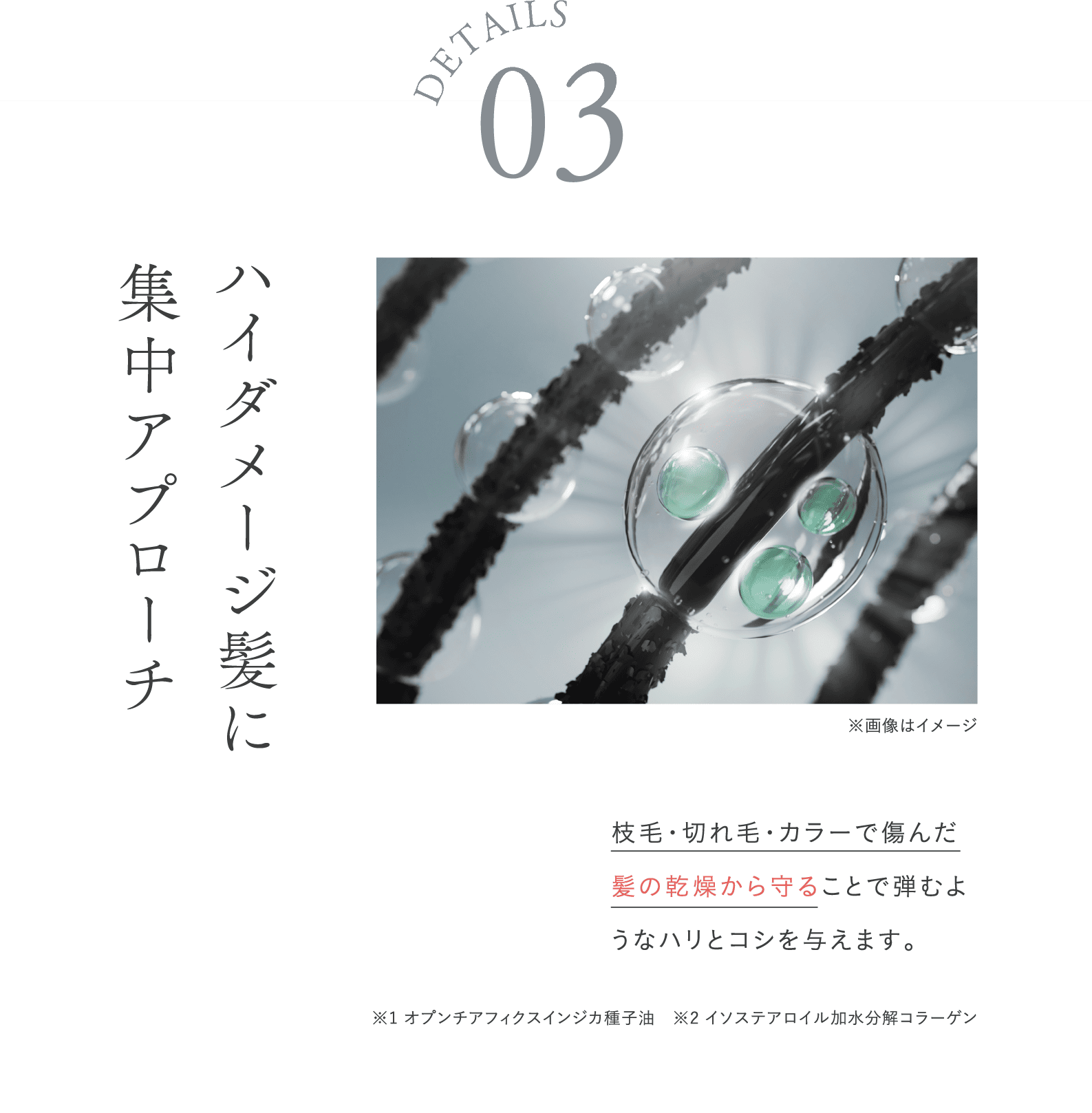 ハイダメージ髪に集中アプローチ