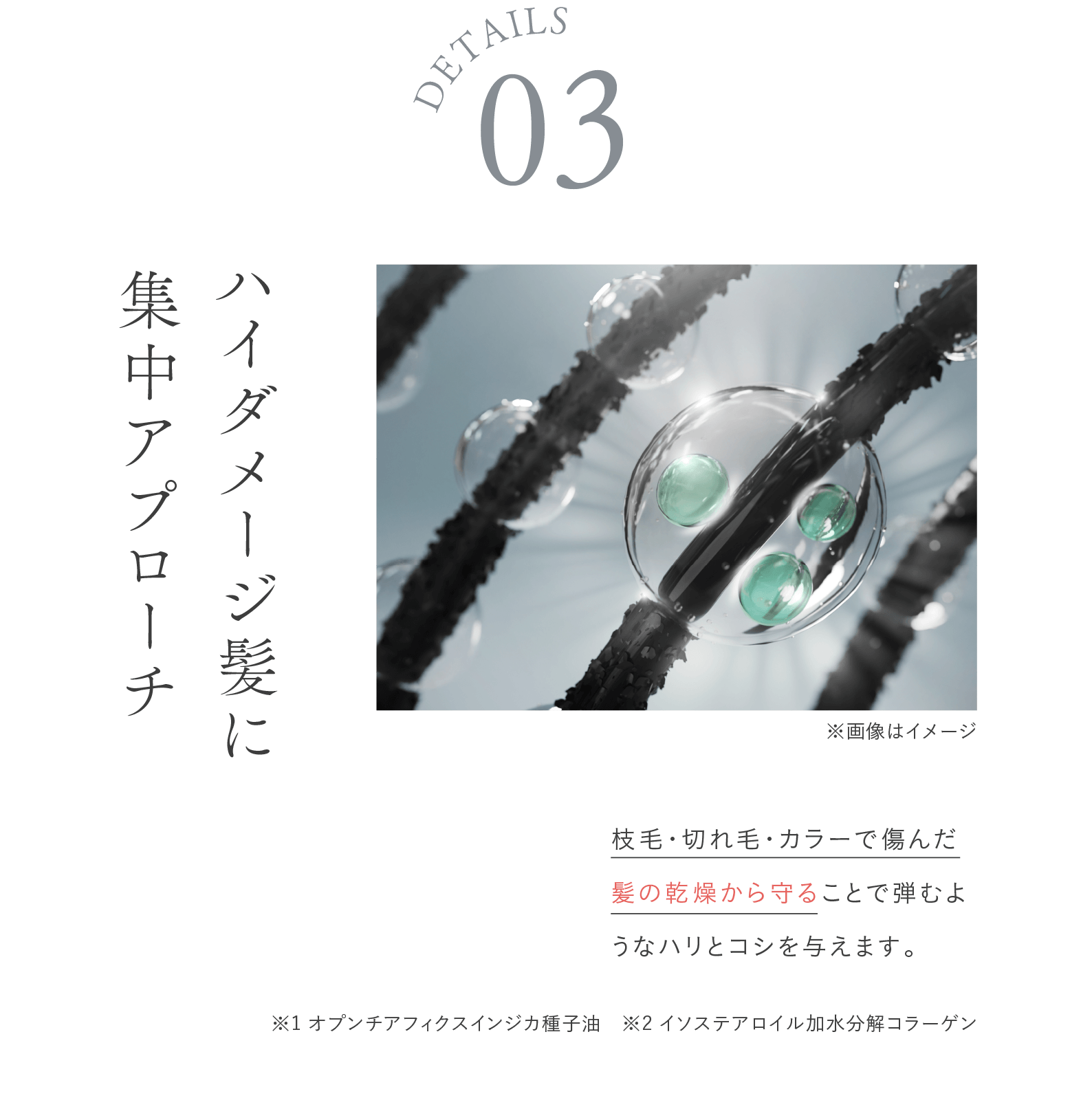 ハイダメージ髪に集中アプローチ