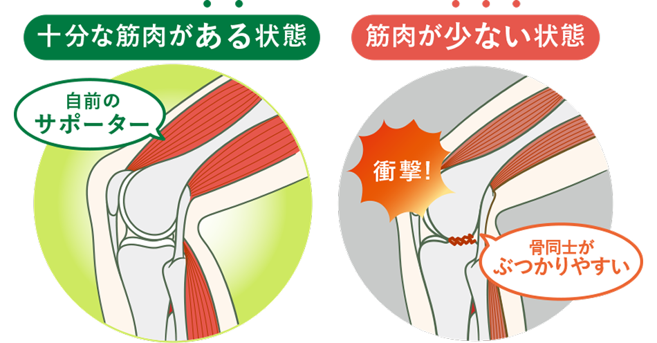 十分な筋肉がある状態と筋肉が少ない状態