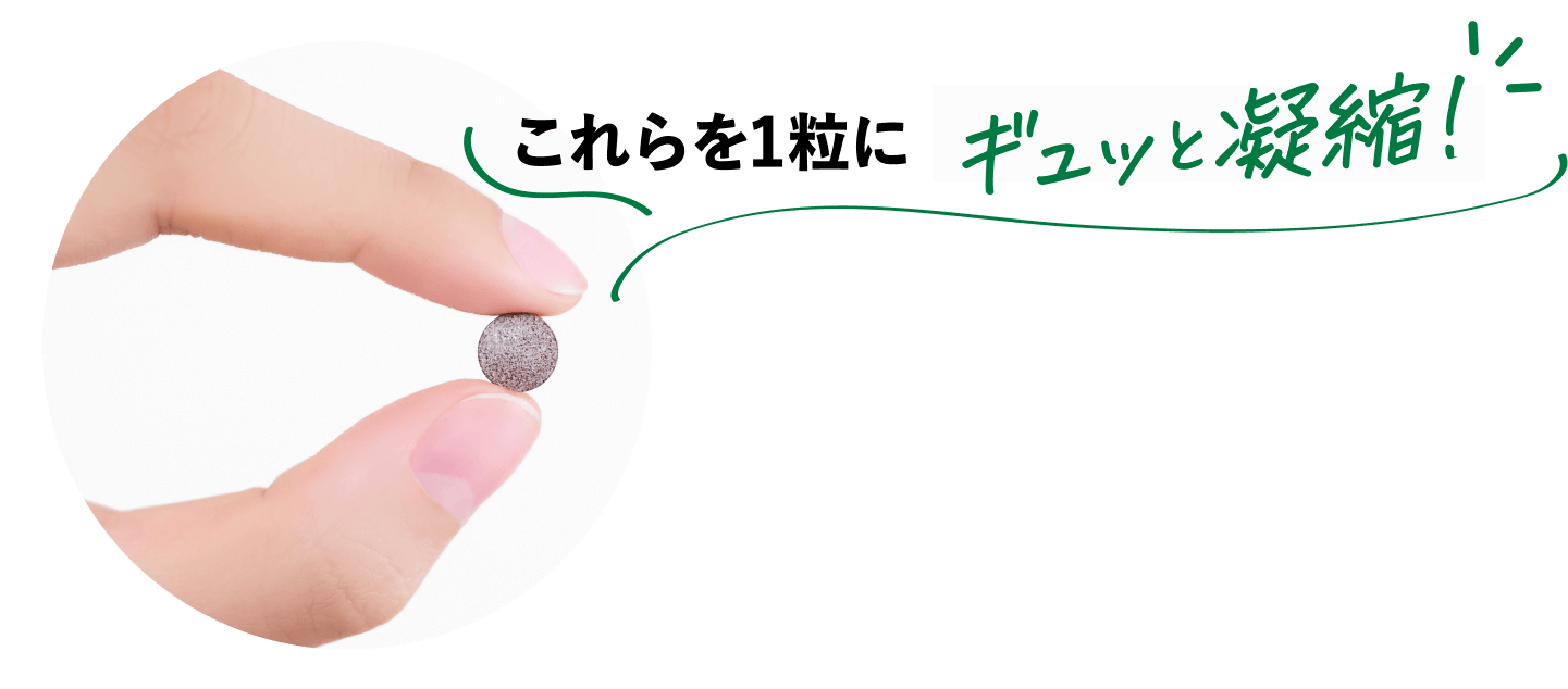 これらを一粒にぎゅっと凝縮