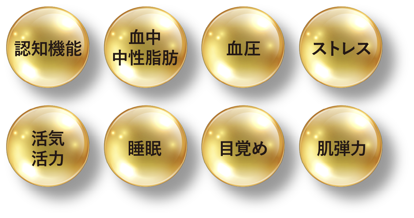 認知機能 血中中性脂肪 血圧 ストレス 活気活力 睡眠 目覚め 肌弾力