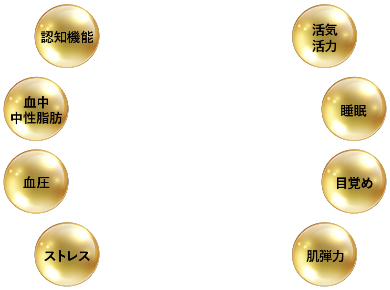 認知機能 血中中性脂肪 血圧 ストレス 活気活力 睡眠 目覚め 肌弾力