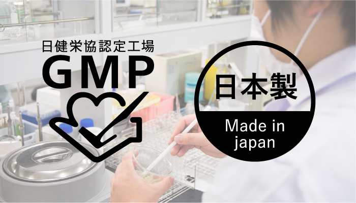 GMP 日本製 Made injapan