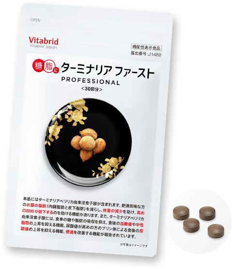 ターミナリアファースト商品画像