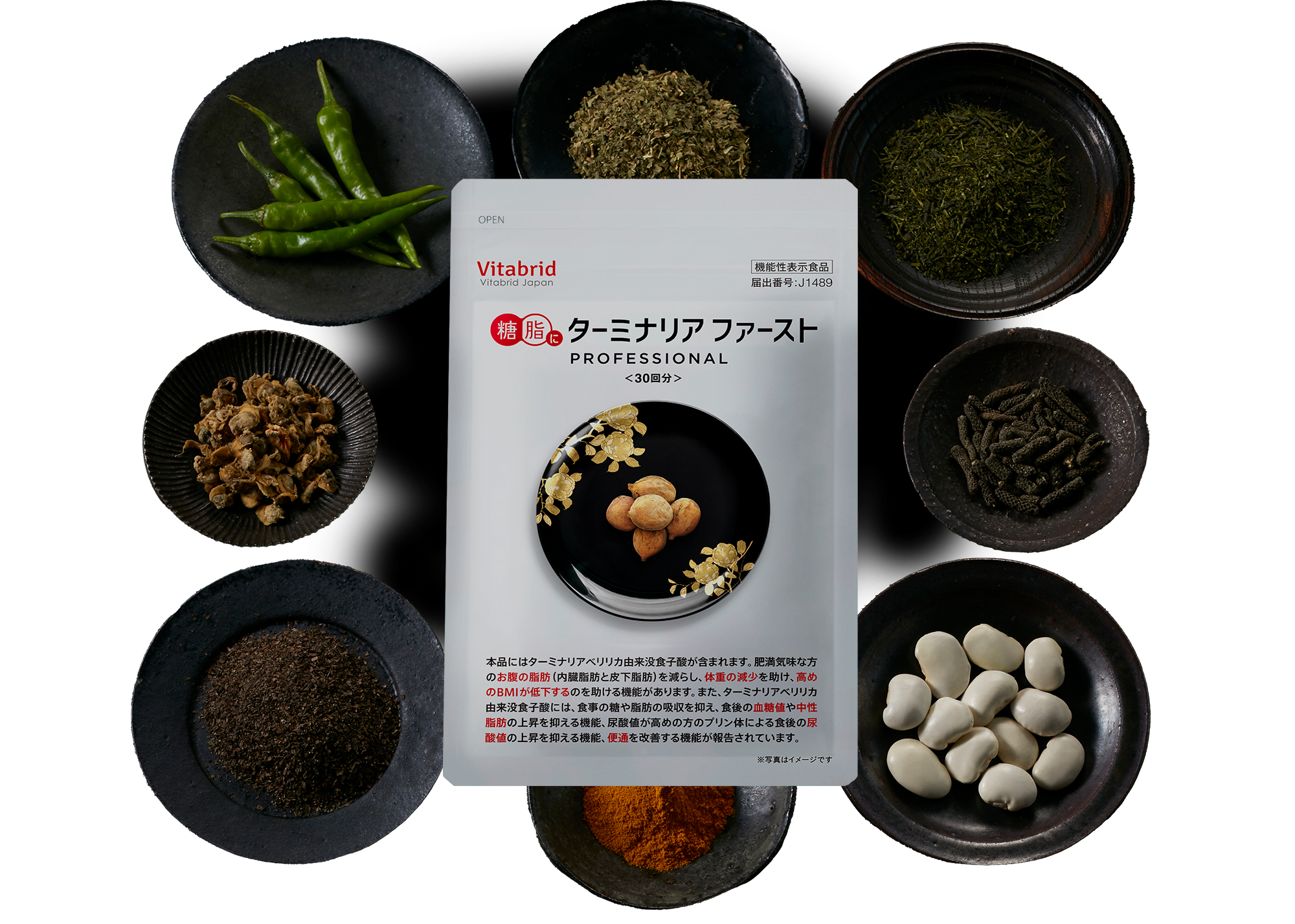 ターミナリアファースト商品画像