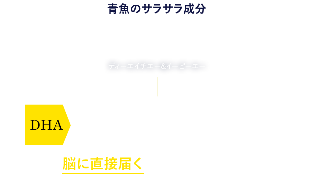 青魚のサラサラ成分DHA&EPAディーエイチエー&イーピーエー　DHA記憶力・認知力を助ける　脳に直接届く、希少な成分です。