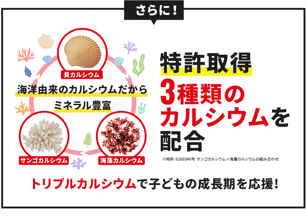 さらに特許取得3種類のカルシウムを配合 海洋由来のカルシウムだからミネラル豊富 トリプルカルシウムで子どもの成長期を応援!