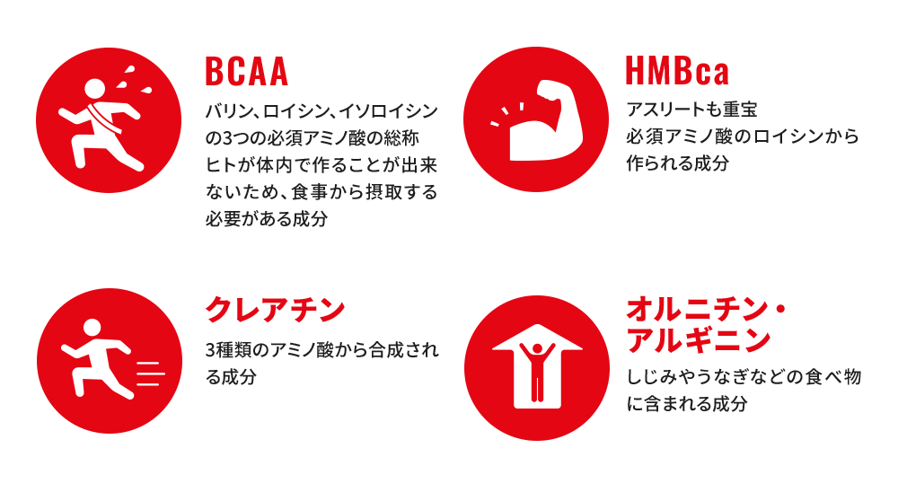 BCAA HMBca クレアチン オルニチン・アルギニン