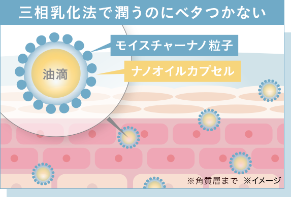三相乳化法で潤うのにベタつかない※角質層まで※イメージ