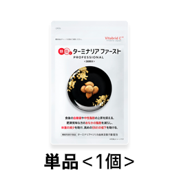 ターミナリアファースト4(通常購入) ※税率8%