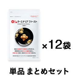 ターミナリアファースト4(12個まとめ買い) ※税率8%