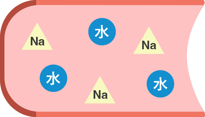 正常時の水とナトリウムの関係値
