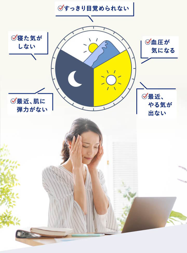 Vitabrid - 大姫ページ ビタブリッドジャパン公式サイト