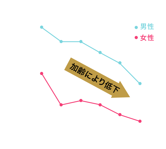 グルメサプリ 〉ターミナリアファーストで食事を愉しむ｜ビタブリッド