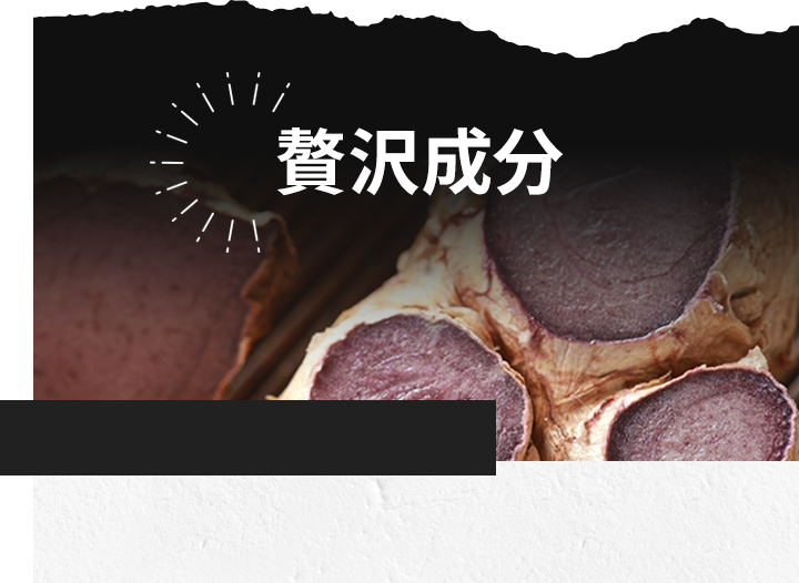 THE PERFECT ROUTINE＜ザ パーフェクトルーティン＞商品概要｜ビタ