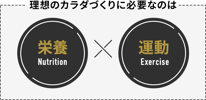 THE PERFECT ROUTINE＜ザ パーフェクトルーティン＞商品概要｜ビタ