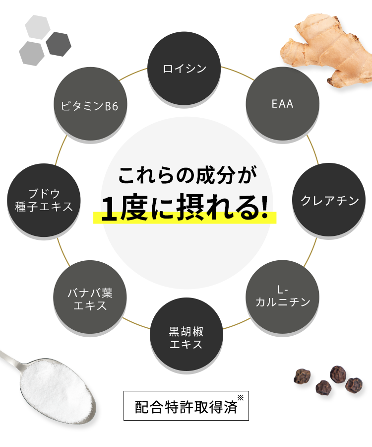 THE PERFECT ROUTINE＜ザ パーフェクトルーティン＞商品概要｜ビタ