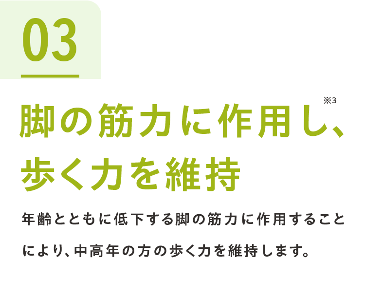 03脚の筋力に作用し、歩く力を維持※3 年齢とともに低下する脚の筋力に作用することにより、中高年の方の歩く力を維持します。