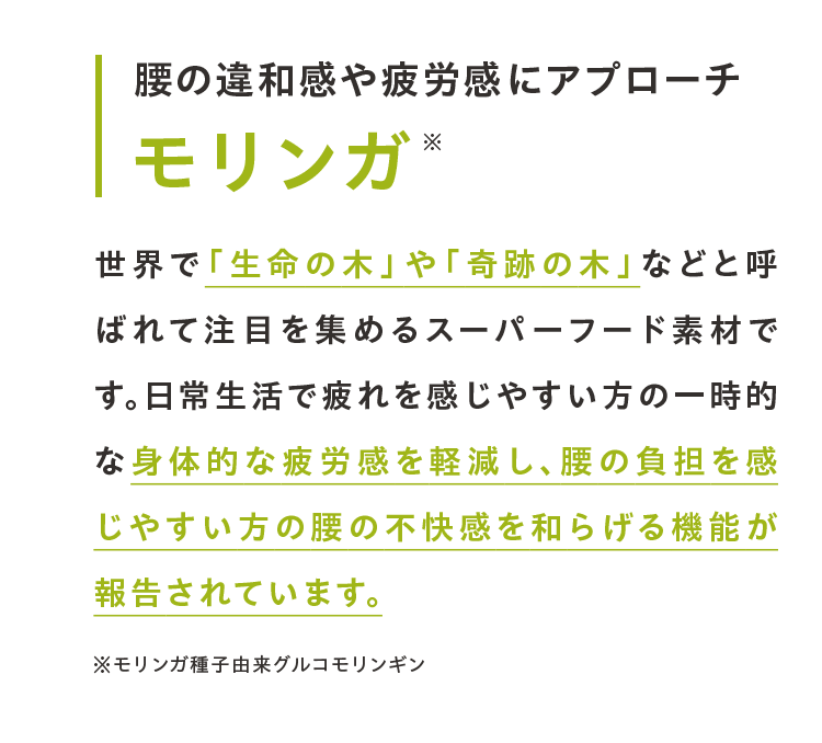 腰の違和感や疲労感にアプローチ モリンガ 世界で「生命の木」や「奇跡の木」などと呼ばれて注目を集めるスーパーフード素材です。日常生活で疲れを感じやすい方の一時的な身体的な疲労感を軽減し、腰の負担を感じやすい方の腰の不快感を和らげる機能が報告されています。