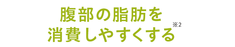 腹部の脂肪を消費しやすくする※2