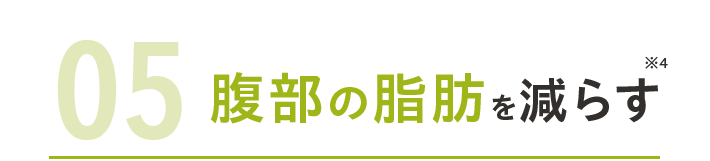 05腹部の脂肪を減らす