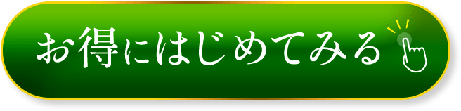 おトクにはじめる！